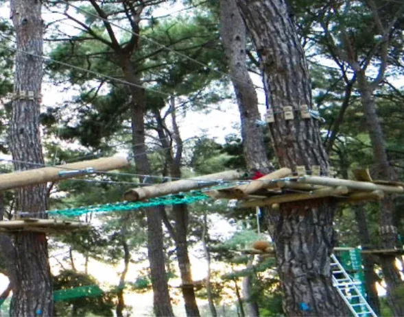 Parcours Aventure Hauteur 05 - AkroZip